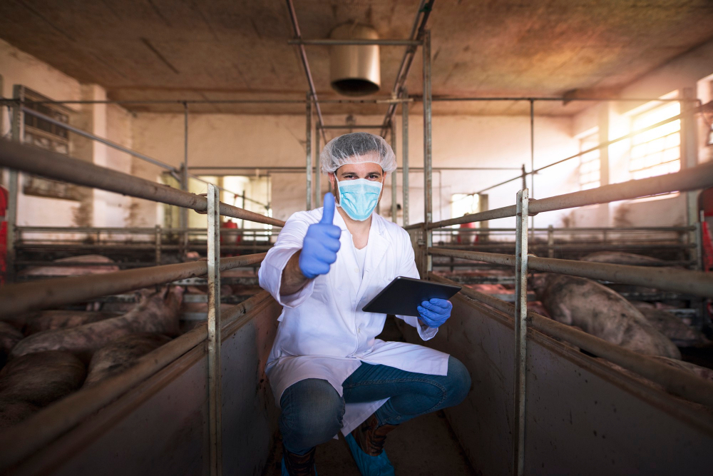 What Does an Animal Control Officer Do? - Animal Courses